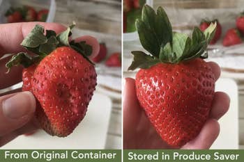 A comparison between a strawberry in the original container (softened with spots) and one stored in the Rubbermaid container (still fresh)