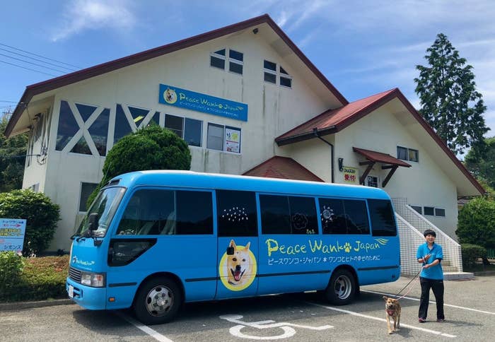犬の殺処分ゼロ目指す日本最大npoに捜査が入った理由 Pwj全頭引き受け