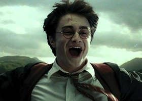 Answer Some Harry Potter Questions And We Ll Tell You Your Animagus Animal