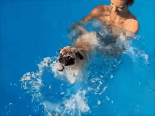 ^A GIF of me, all summer long. The reviews in this post have been edited for length and clarity.