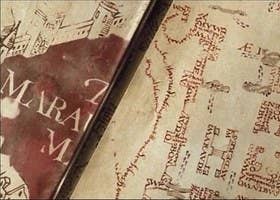 Answer Some Harry Potter Questions And We Ll Tell You Your Animagus Animal