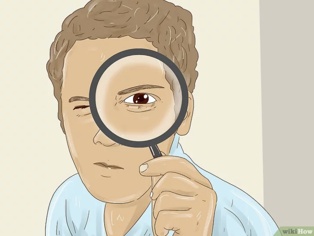 Neighbors - how to articles from wikiHow