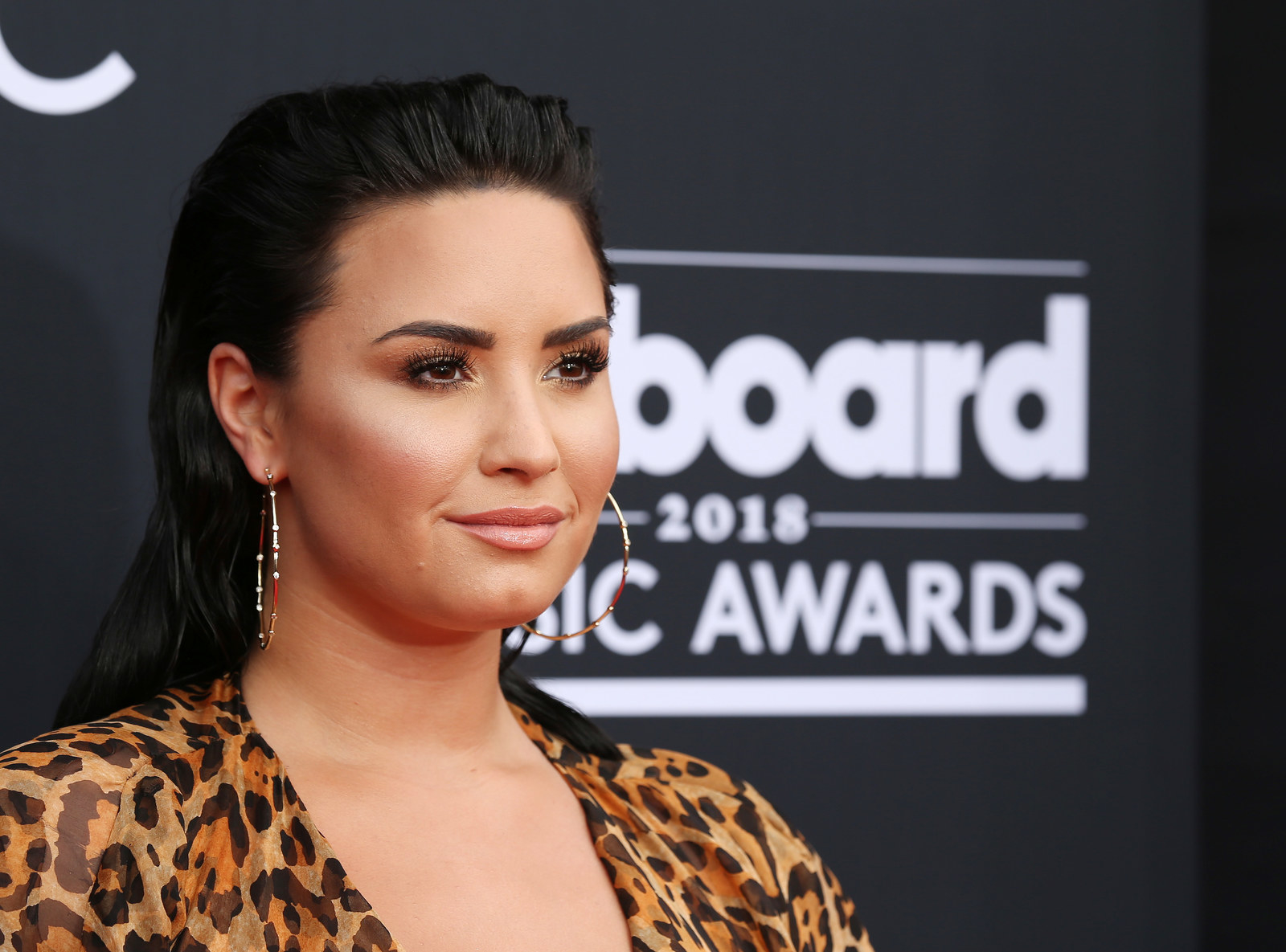 Demi Lovato Deleted A Tweet About Hiring 