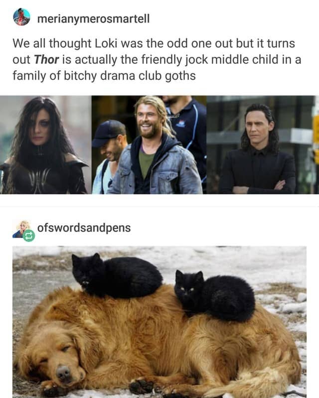 Tumblr Calculated How Old Thor And Loki Are In Human Terms And It Explains So Much