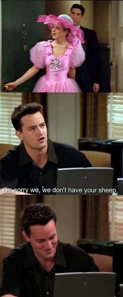When Chandler tells Rachel, "I'm sorry, we don't have your sheep" and can't keep a straight face. I rewind to see his smile every time.– NerdIsTheWord