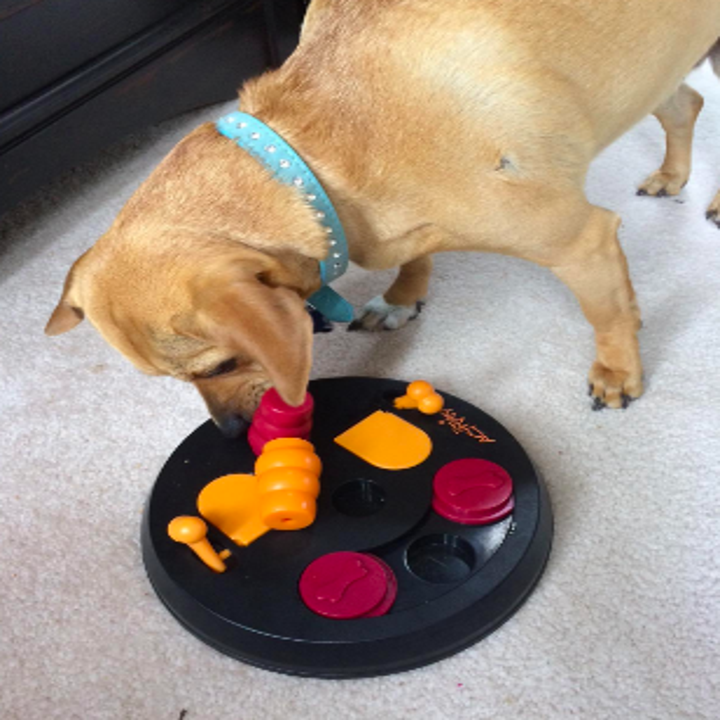 28 Of The Best Pet Toys You Can Get On Amazon