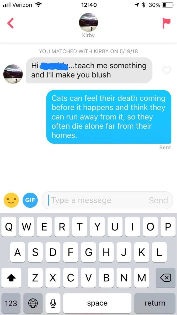 17 Funny Tinder Messages That'll Make You Glad You're Not Single 17 Funny Tinder Messages That'll Make You Glad You're Not Single