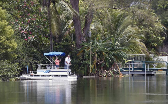 A Woman Was Killed By An Alligator 