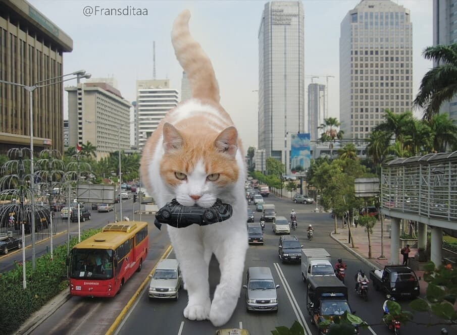 ネコがでっかくなっちゃった コラ写真で可愛さが100倍に