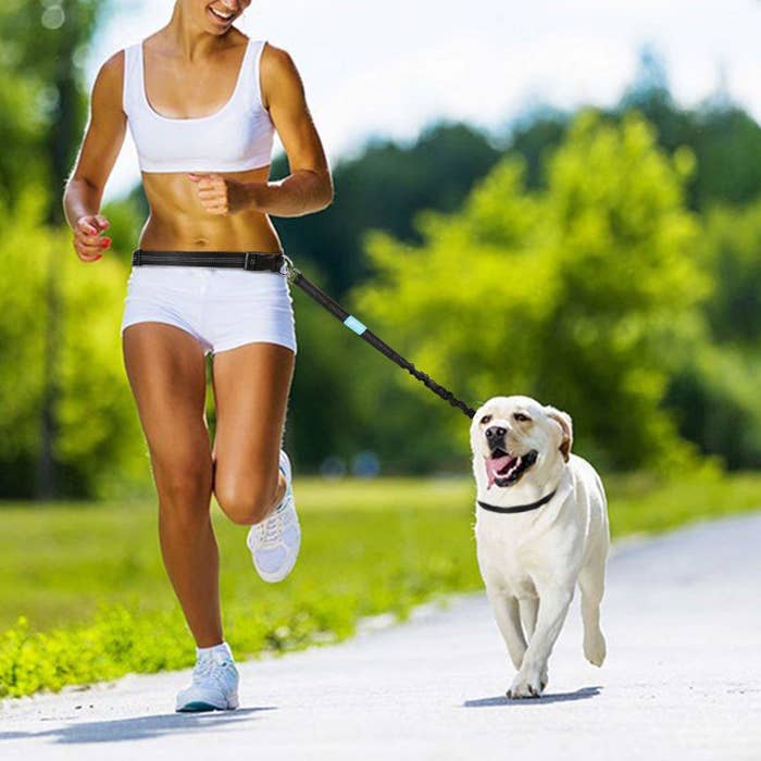 Спортивный Dog
