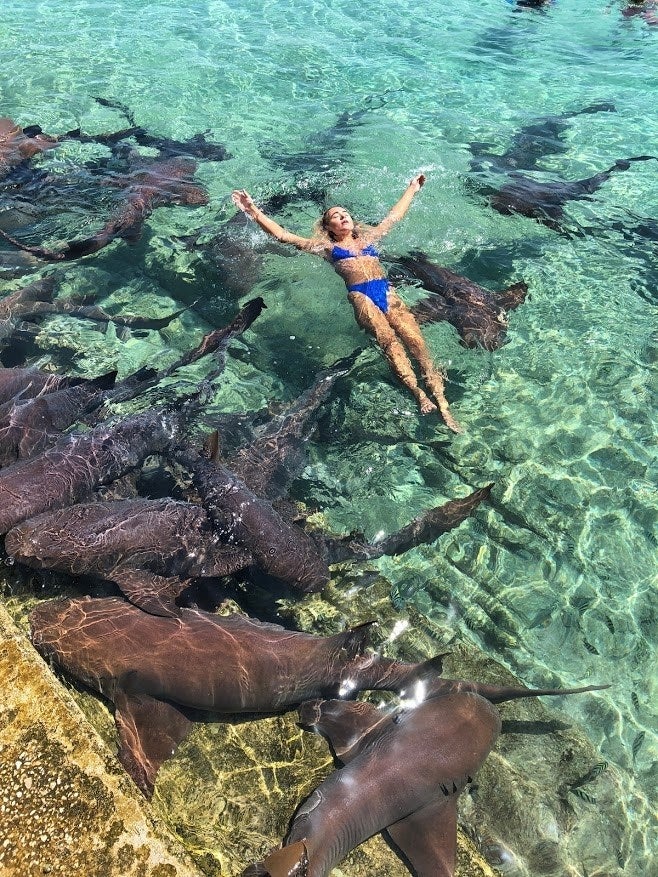 Katarina Zarutskie berenang bersama hiu