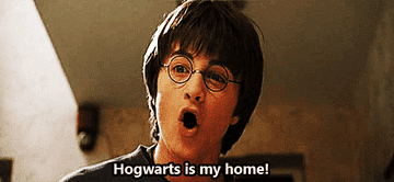 A gif of Harry Potter saying, &quot;Hogwarts is my home!&quot;