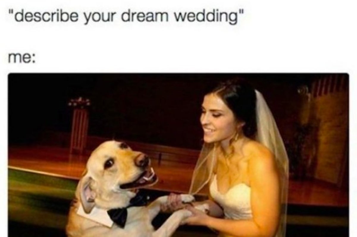 If You Laugh At 38 50 Of These Memes Then You Re Definitely A Dog Lover