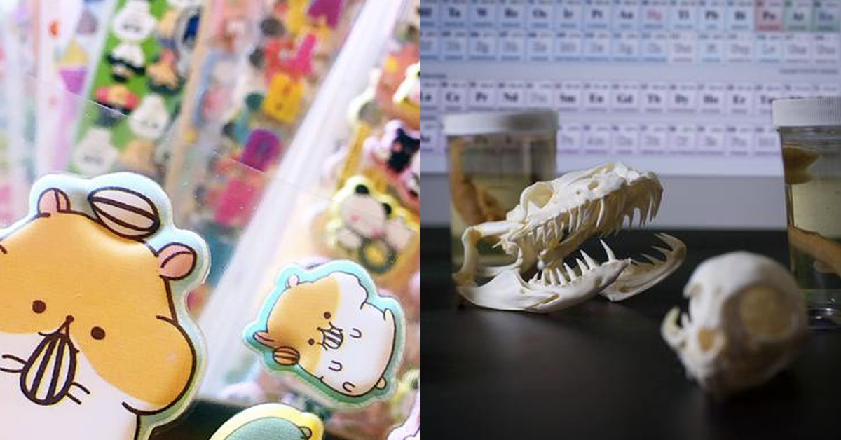 27 Incredibly Specific Subscription Boxes You Somehow Need