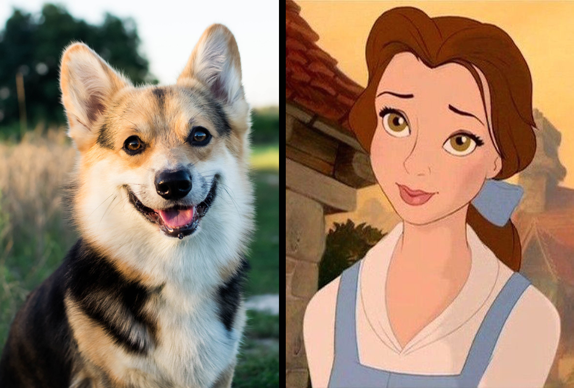 dog disney princess