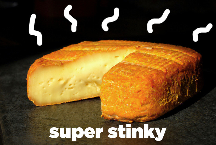 I bought a smelly Camembert a few weeks ago and the next day my American roommates had wrapped it in a plastic bag and placed baking soda next to it because it was stinking up the fridge. Which, fair enough. But also, that's the way it's supposed to be! Your cheese should be so smelly that whenever you open the fridge the whole house starts smelling like Eau de Cheese by Stinky de Smell. It should be overpowering. The stinkier the cheese, the better: That's what makes it beautiful and perfect.