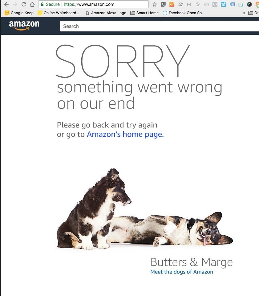 amazon prime dog