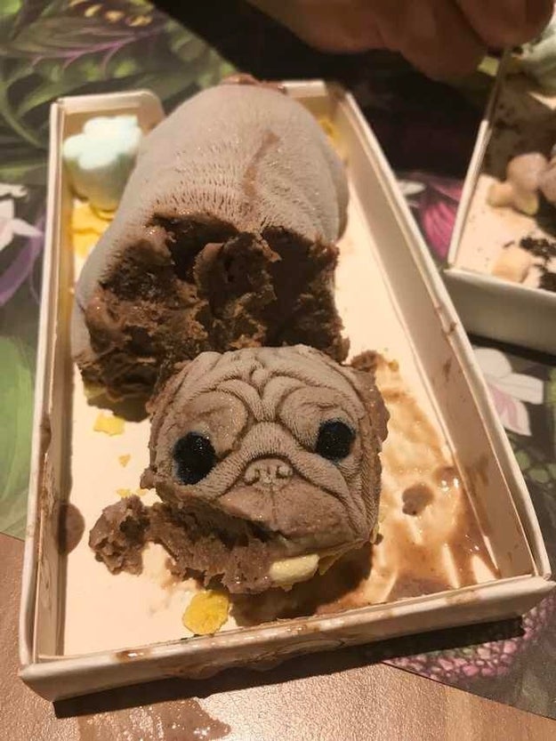 Dog Ice Cream - Spaceships and Laser Beams