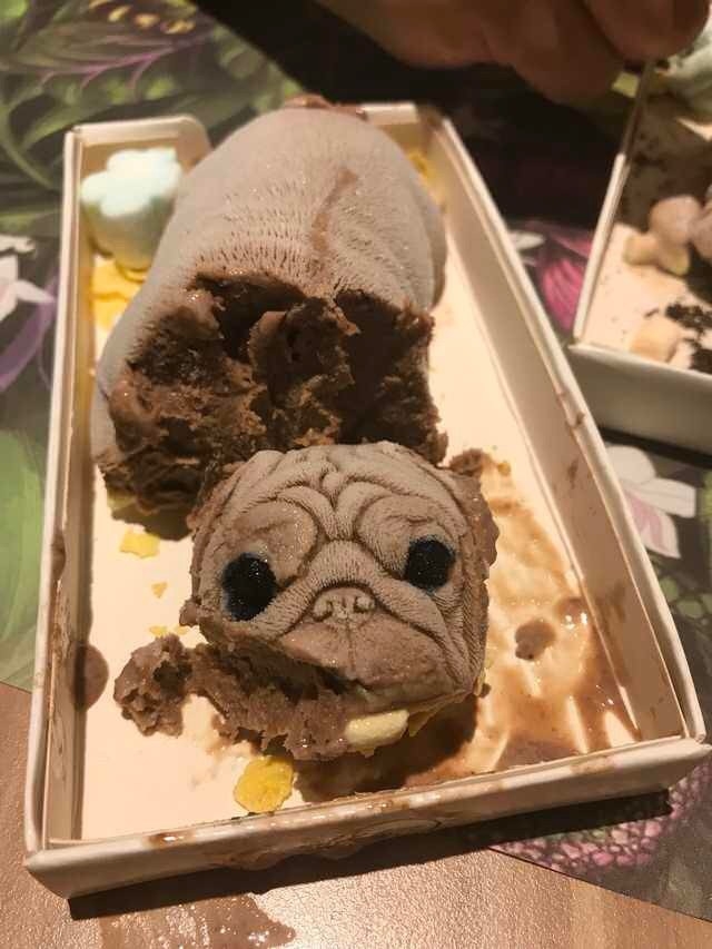 Pug shaped 2025 ice cream