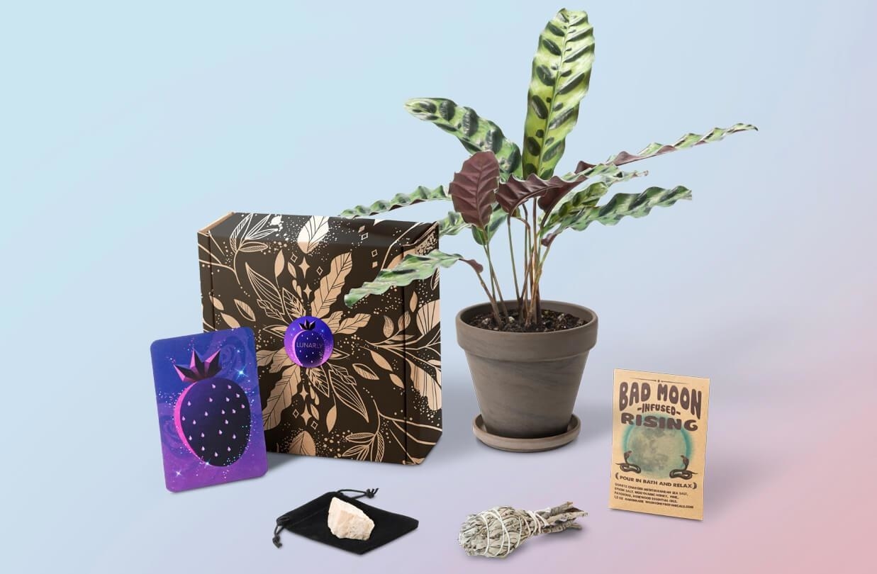 Each month you'll get a package filled with things that'll lift up your home. Although the items will change each month, plan on things like plants, crystals, sage, seeds, etc. along with some solid astrology info to fill your home with a peaceful, positive energy. Get it from Lunarly for $40/month.
