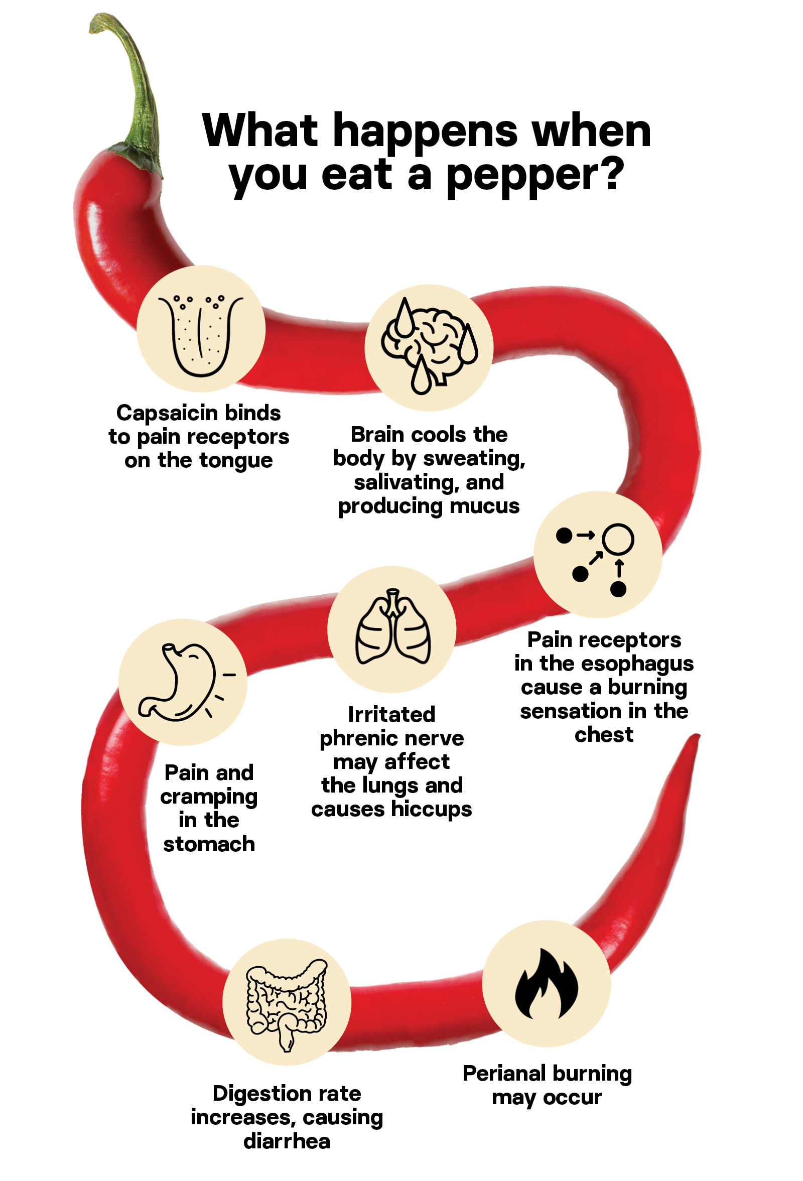 Peppers Capsaicin Chart