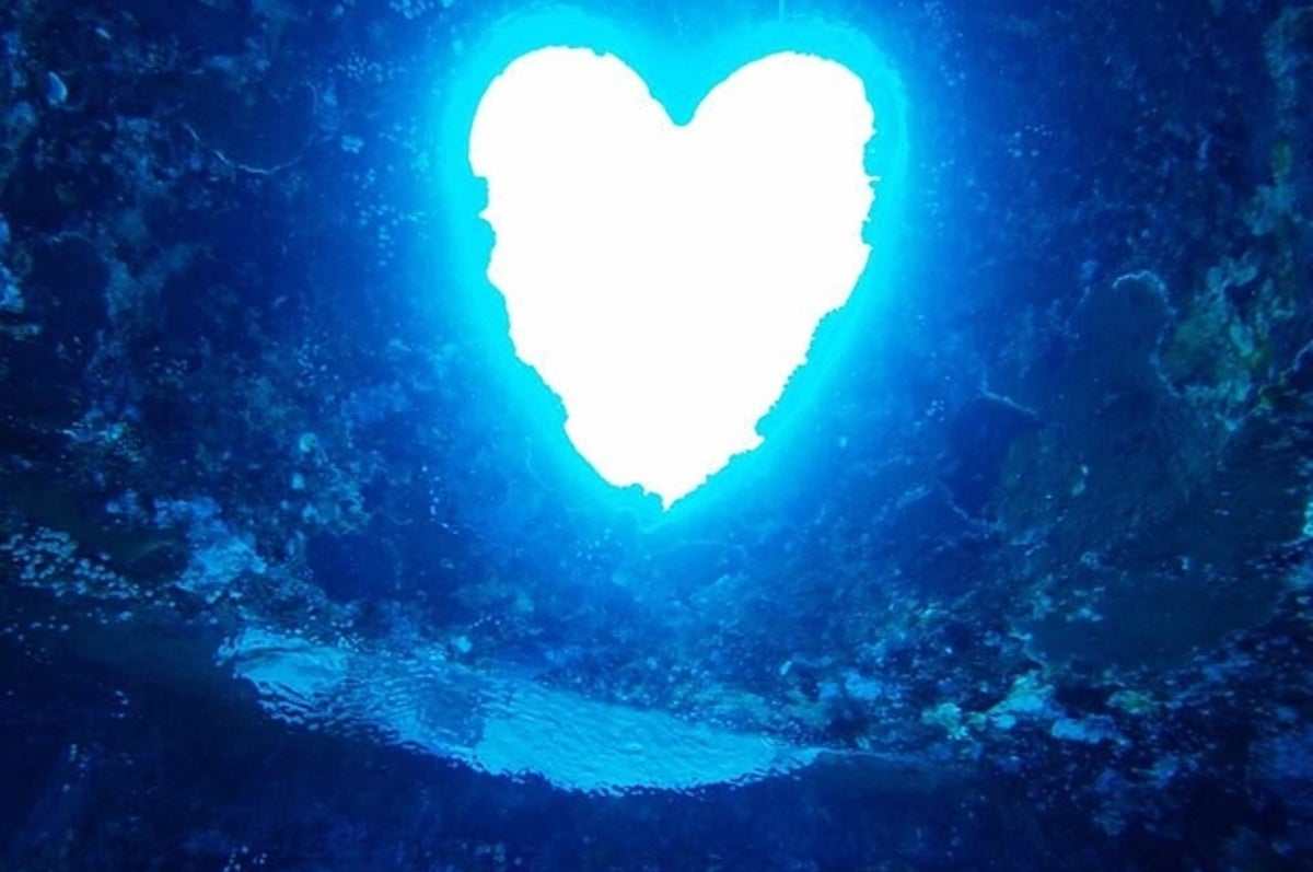 絶対に海に潜ってはいけない ダイビングがヤバすぎる9枚の証拠写真