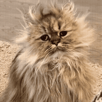 Https Encrypted Tbn0 Gstatic Com Images Q Tbn 3aand9gctjx8vdtxhp58jmveqnqmyzxytk4hpyxp5nwq Usqp Cau
