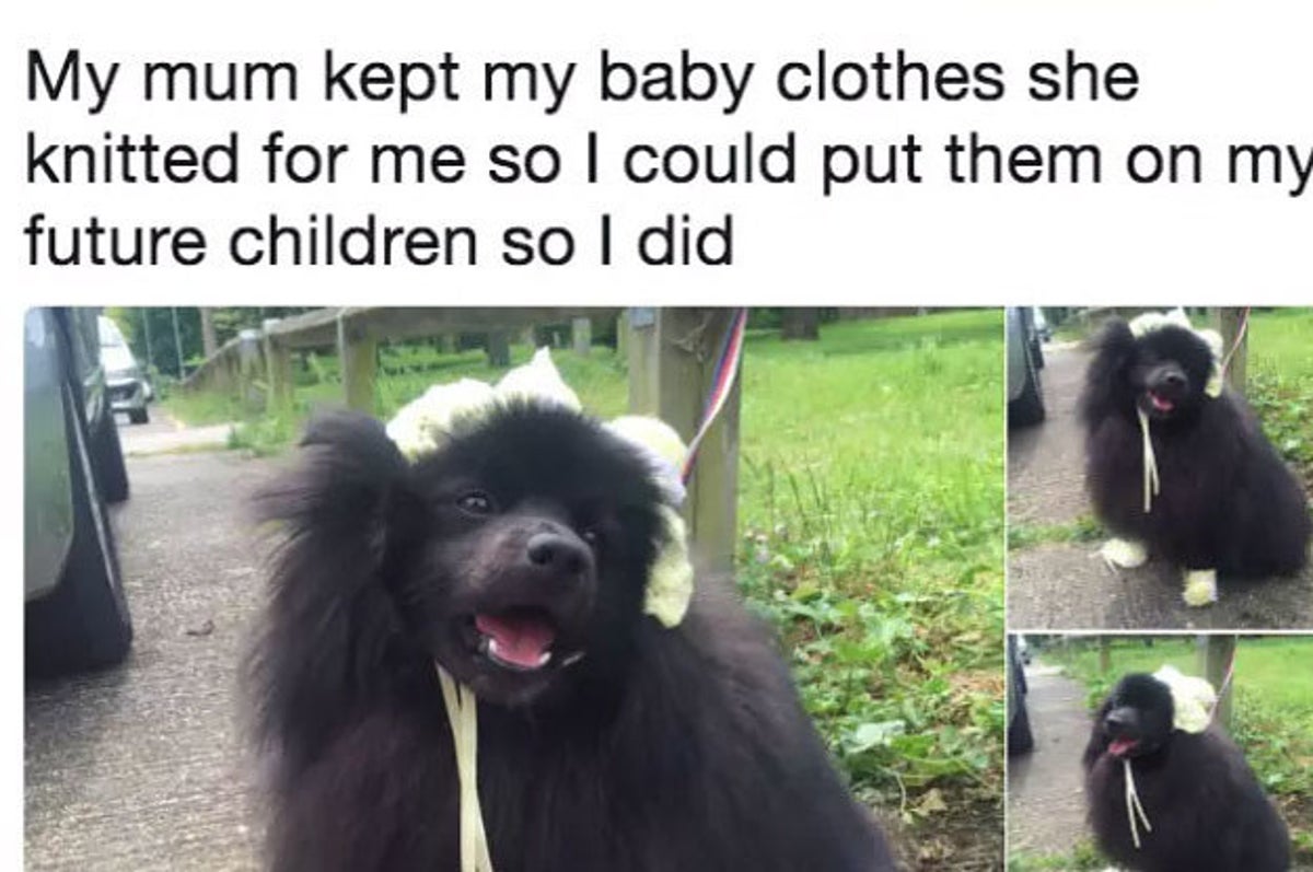 If You Absolutely 100 Never Want Kids These 19 Posts Are For You
