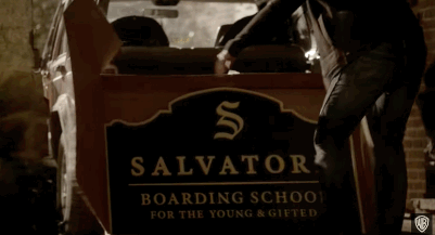 Although normies in Mystic Falls believe it's a school for rich, troubled teens.