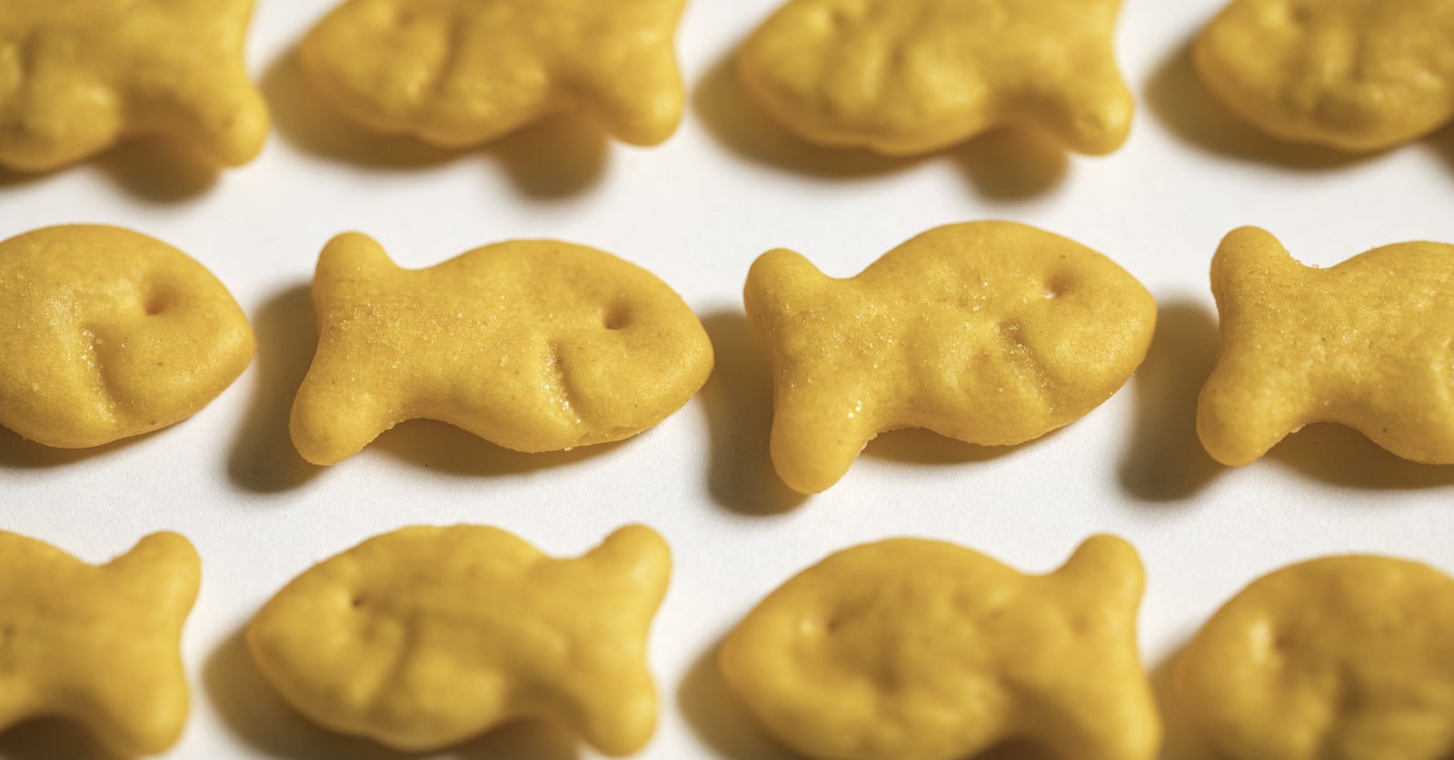 A Bunch Of Goldfish Crackers Were Just Recalled Due To A Potential Salmonella Contamination