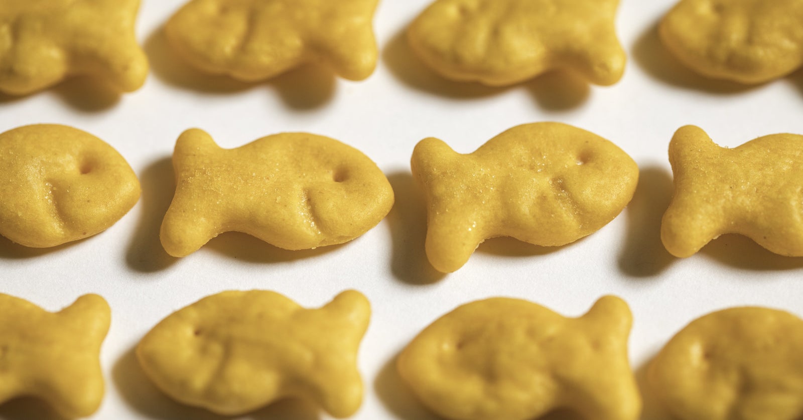 goldfish cracker plush