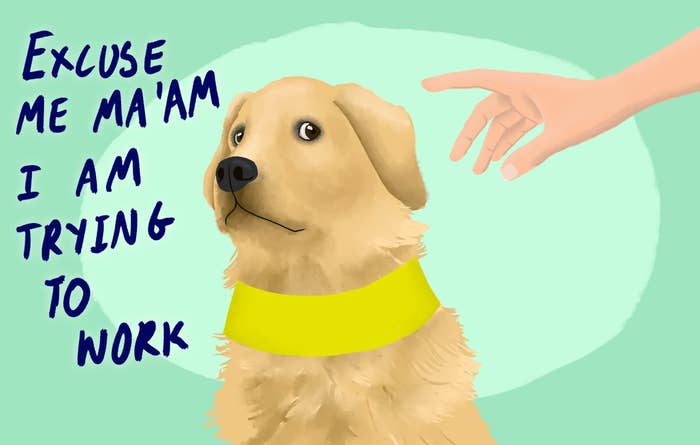 While dogs can be quite the fashionistas they have absolutely no need for a bag. Though guide dogs are incredible, if you want to give something to their owner, we’d suggest you do just that.