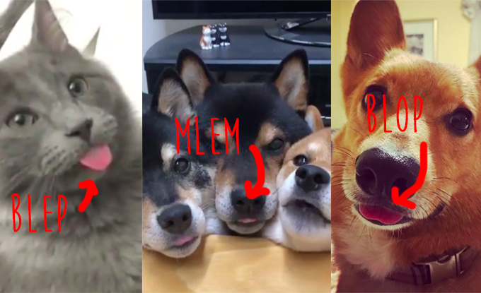 14 Bleps Blops And Mlems That Ll Immediately Brighten Your Day