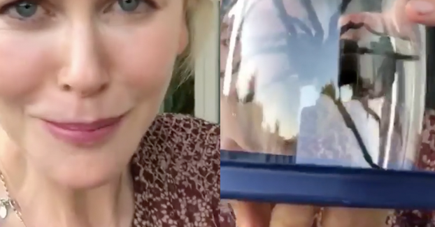 Nicole (name) visual data 5