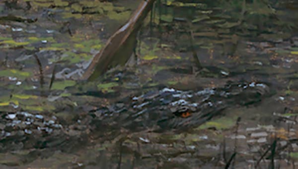 Someone Actually Painted Trump Draining The Swamp And It S Truly