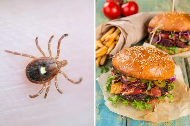 Tick Bites Are Making Some People Deathly Allergic To Meat