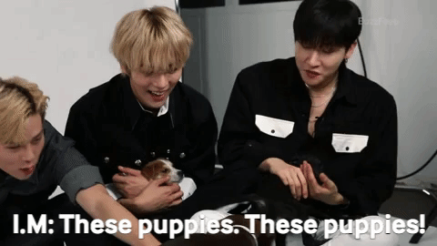 I.M: *starstruck* These puppies. These puppies!