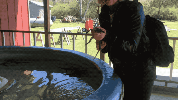 They also got to hold REAL-LIFE alligators, and how many of us can say the same!?