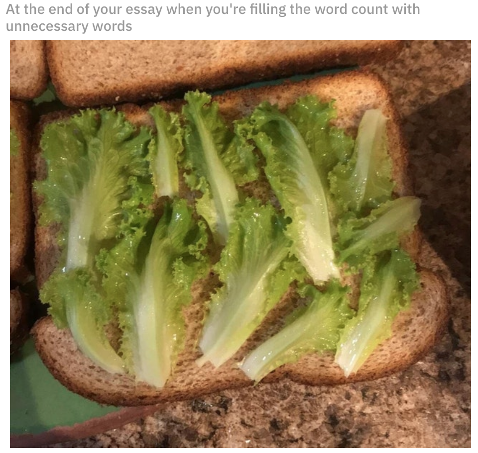 Lettuce leaves separated on a slice of bread with the caption, &quot;At the end of your essay when you&#x27;re filling the word count with unnecessary words&quot;