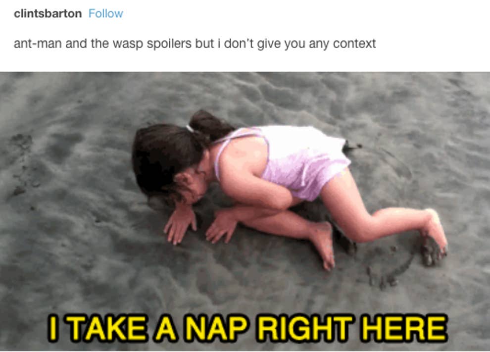 37 Tumblr Posts About Ant Man And The Wasp That Are A Real Mood 37 Tumblr Posts About Ant Man And The Wasp That Are A Real Mood