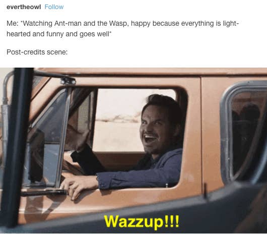 37 Tumblr Posts About Ant Man And The Wasp That Are A Real Mood