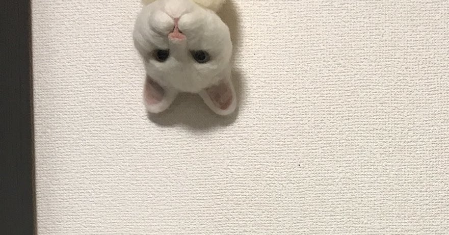 深夜twitterに現れた奇妙なネコが話題 怖いけど可愛い クセになる 深夜twitterに現れた奇妙なネコが話題 怖いけど可愛い クセになる