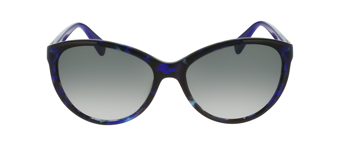 penguin glasses case