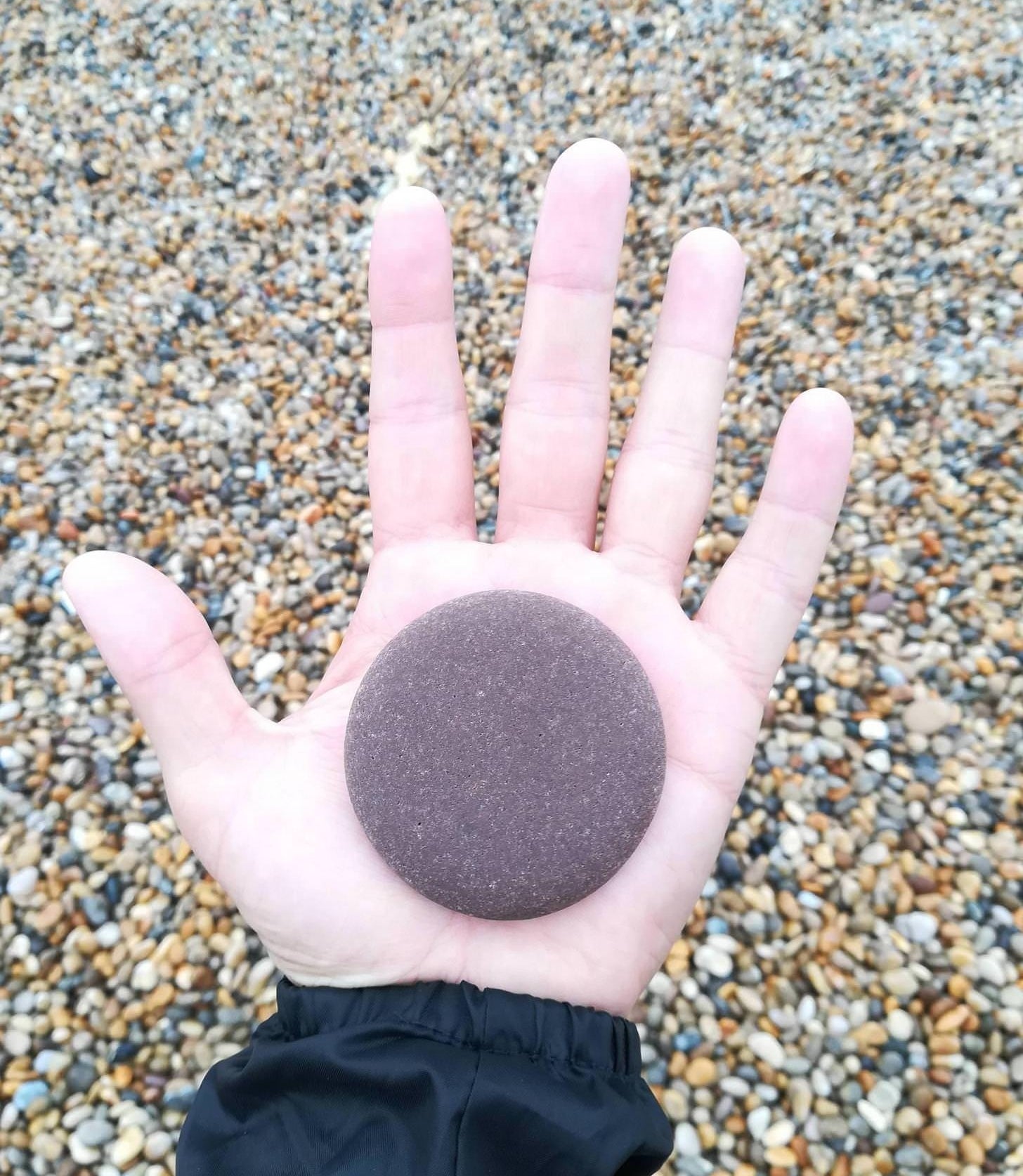 A hand holding a very flat, perfectly round rock 
