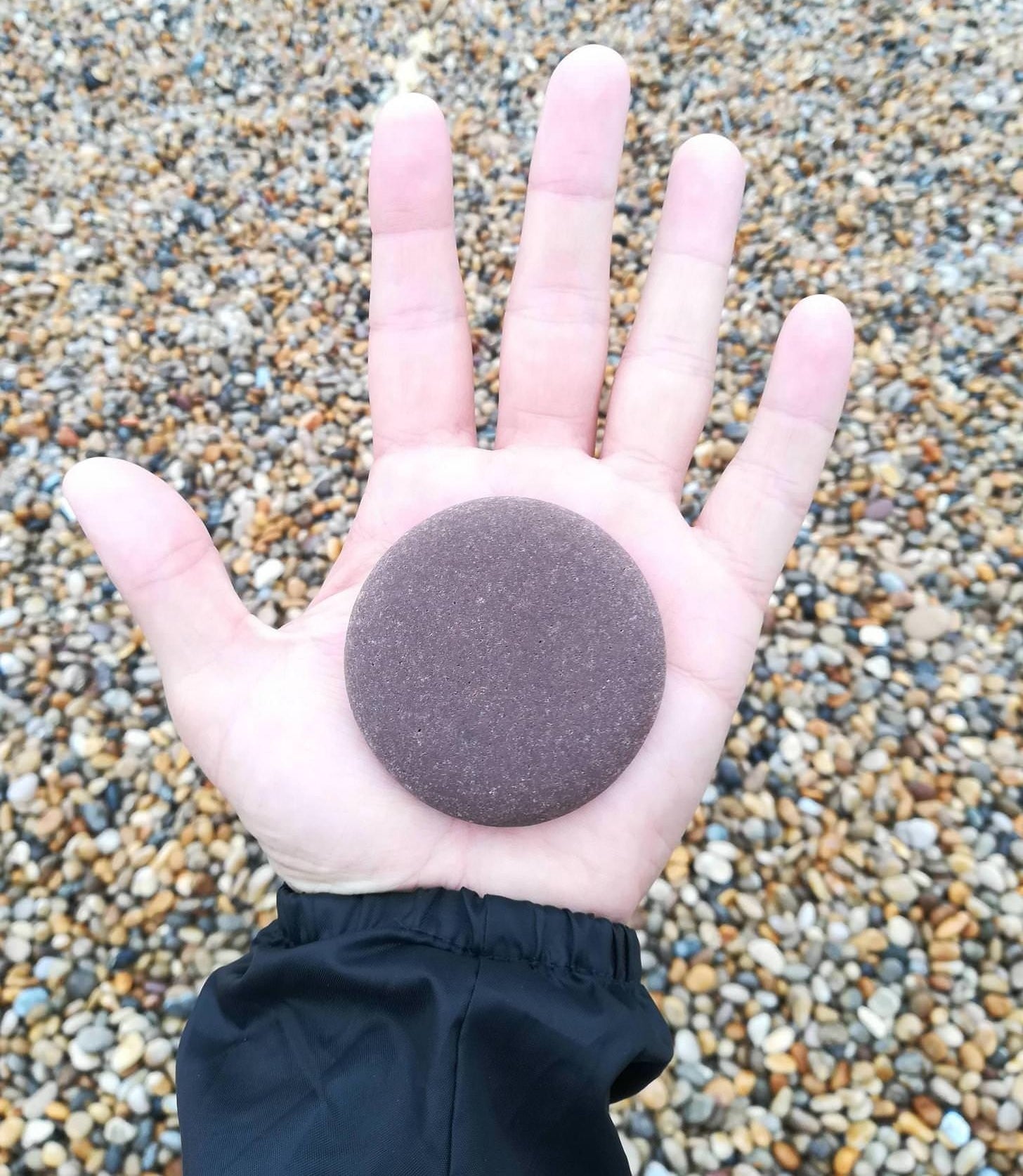 A hand holding a very flat, perfectly round rock 