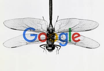 Image result for google dragonfly censorship