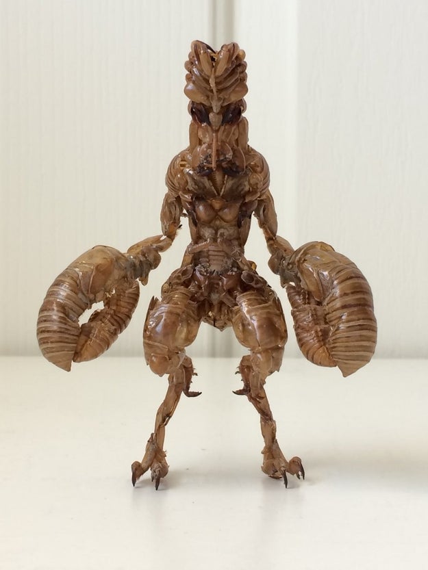 セミの抜け殻でつくったバルタン星人がリアルすぎてヤバイ ゴジラやエイリアンの作品も