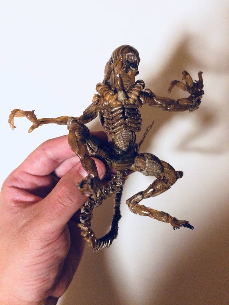 セミの抜け殻でつくったバルタン星人がリアルすぎてヤバイ ゴジラやエイリアンの作品も