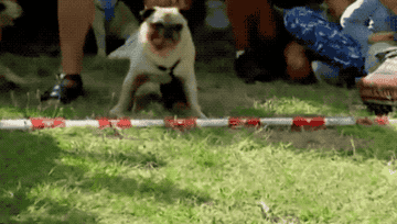 Img Buzzfeed Com Buzzfeed Static Static 18 08