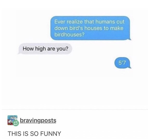 Funny Late Night Thoughts 23 Thoughts That Only Come From A High Brain